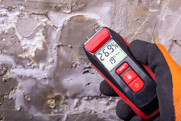 Best Attic Mold Remediation in Chenoa, IL