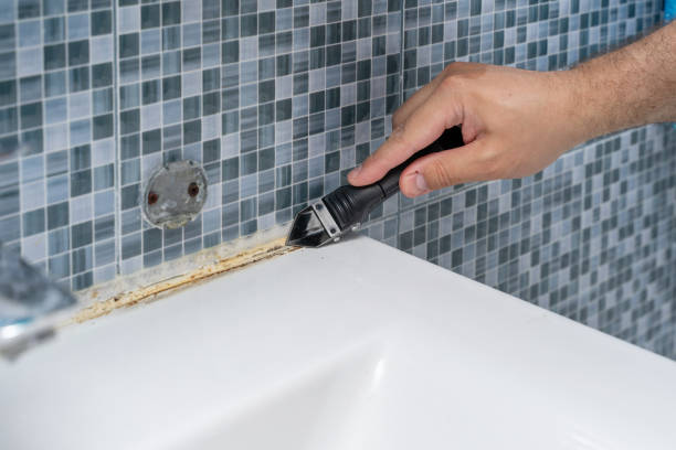 Reliable Chenoa, IL Mold Remediation Solutions